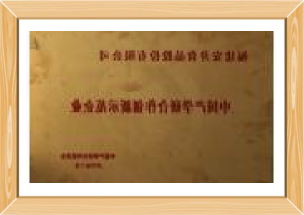 中国产学研合作创新示范企业